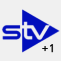 STV+1 logo